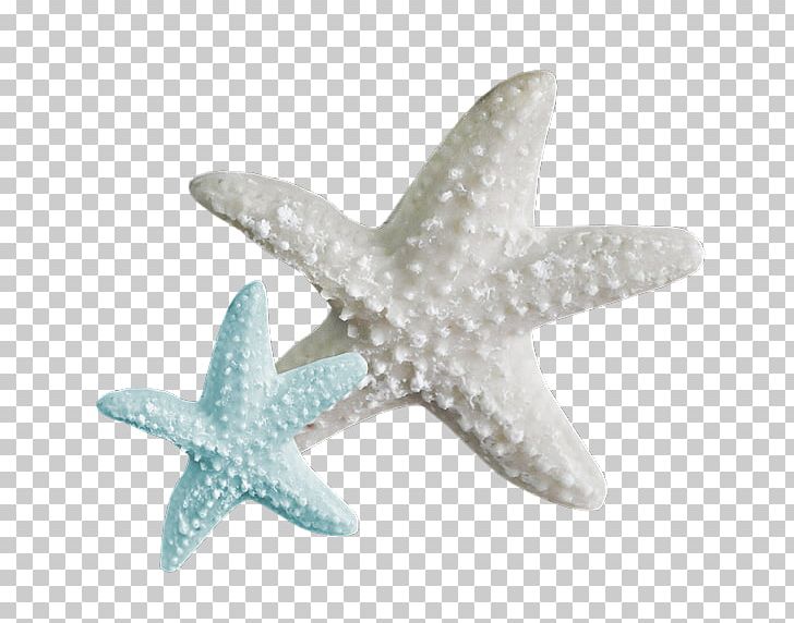 A Sea Star Beach Desktop PNG, Clipart, Beach, By The Sea, Computer Icons, Desktop Wallpaper, Download Free PNG Download