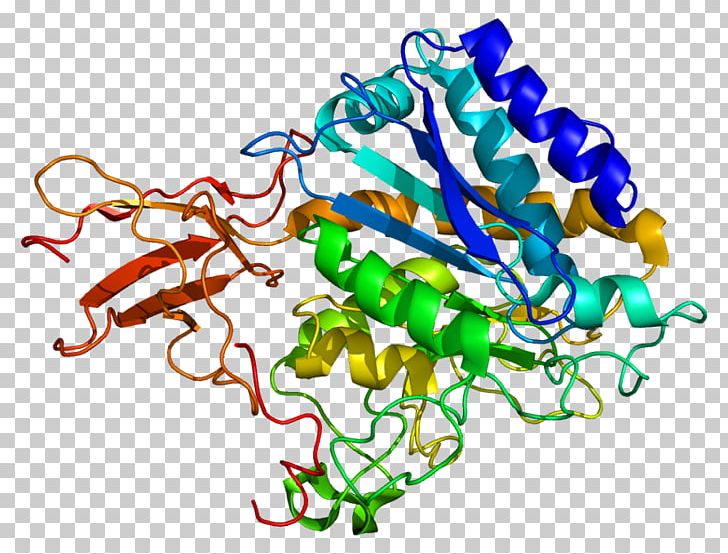 Carboxypeptidase A6 Protein Gene Carboxypeptidase M PNG, Clipart, Active Site, Amino Acid, Ap Endonuclease, Area, Arginine Free PNG Download