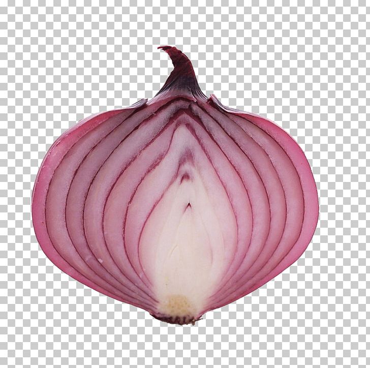 China Onion Vegetable PNG, Clipart, China, Data, Food, Frontend Engineering, Green Onion Free PNG Download