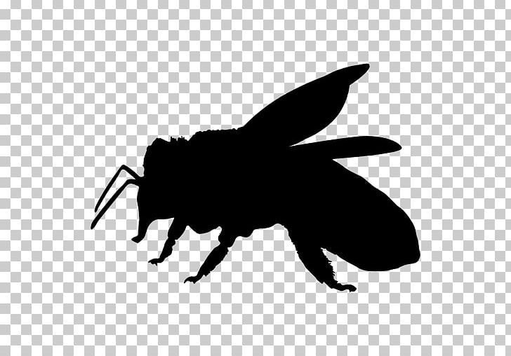 European Dark Bee Insect Pollinator PNG, Clipart, Artwork, Bee, Beehive, Bees, Black Free PNG Download