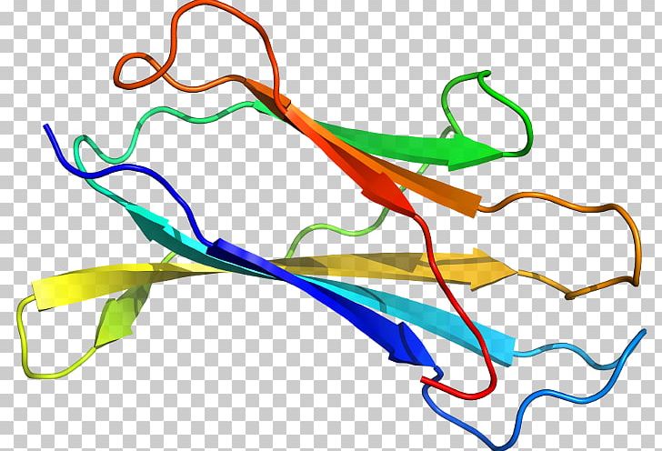 Line Point Organism PNG, Clipart, Area, Art, Line, Organism, Point Free PNG Download