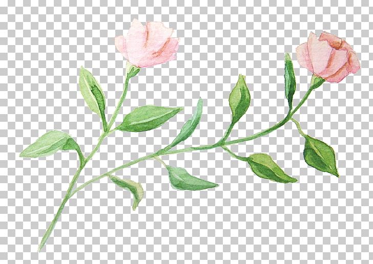 Watercolour Flowers Garden Roses Watercolor Painting PNG, Clipart, Branch, Flower, Hand, Herbaceous Plant, Ink Free PNG Download
