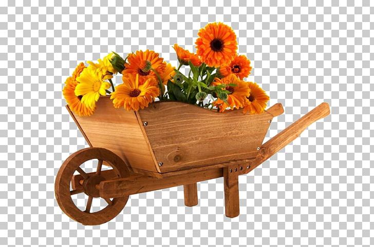 Wheelbarrow Flower Marigold Photography PNG, Clipart, Bricklayer, Calendula, Flower Arranging, Flowers, Garden Free PNG Download