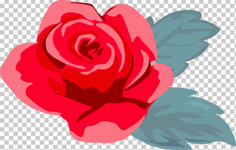Garden Roses PNG, Clipart, Flower, Garden Roses, Petal, Pink, Pink Rose Free PNG Download
