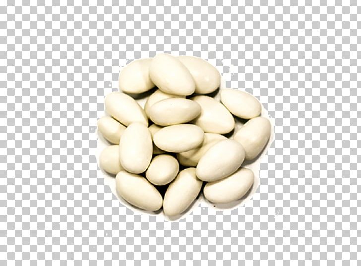 Lima Bean Common Bean Commodity Wild Bean PNG, Clipart, Bean, Commodity, Common Bean, Ingredient, Lima Bean Free PNG Download