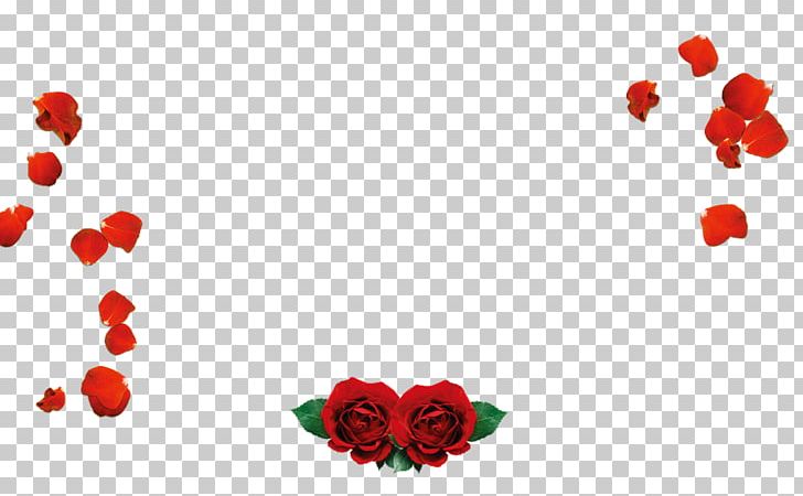 Petal Beach Rose Valentines Day Love Red PNG, Clipart, Beach Rose, Computer Wallpaper, Flower, Flowers, Garden Roses Free PNG Download