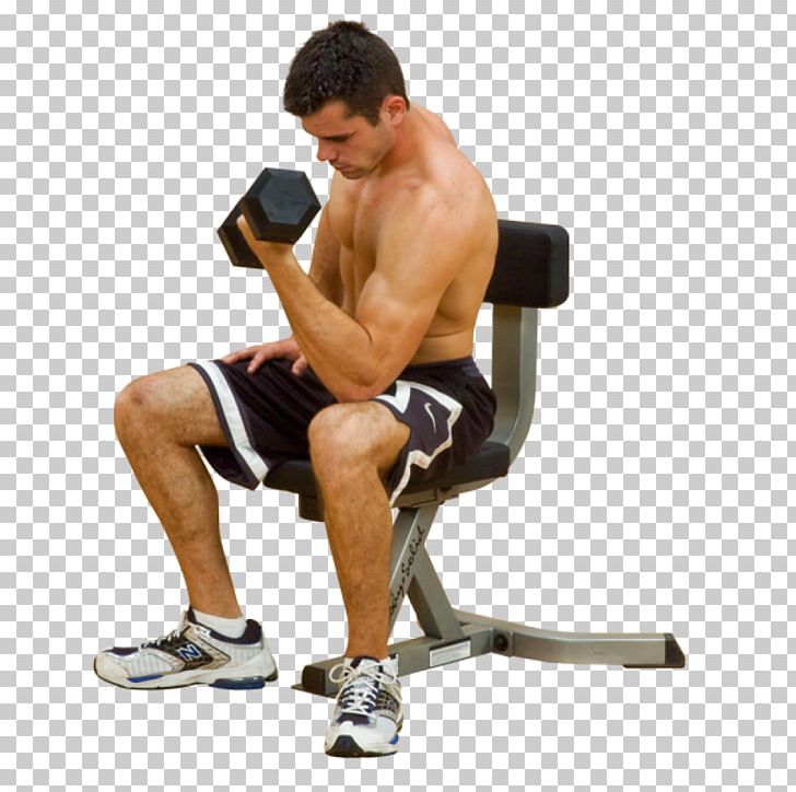 Bench Human Body Triceps Brachii Muscle Physical Exercise Wrist Curl PNG, Clipart, Abdomen, Arm, Barbell, Bench, Biceps Curl Free PNG Download
