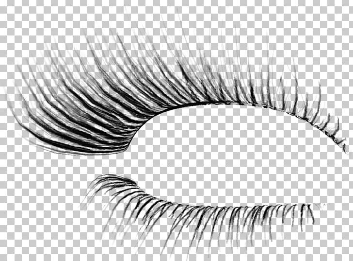 Eyelash Extensions Transparency And Translucency Mascara PNG, Clipart, Beauty, Black And White, Color, Cosmetics, Download Free PNG Download