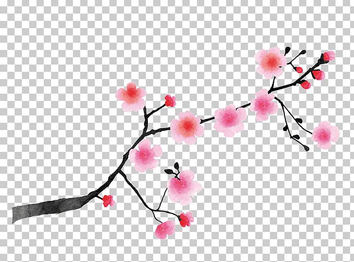 Cerasus East Asian Cherry Cherry Blossom Japan White PNG, Clipart, Anklet, Blossom, Blue, Bracelet, Branch Free PNG Download