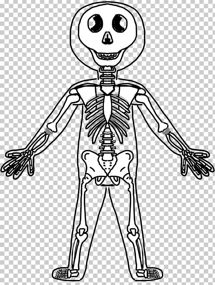 Human Skeleton Human Body Bone PNG, Clipart, Anatomy, Appendicular Skeleton, Arm, Artwork, Black And White Free PNG Download