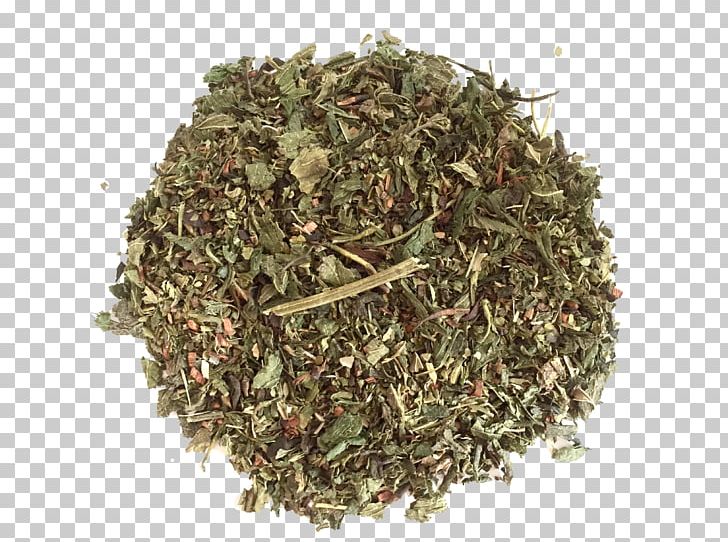 Nilgiri Tea Herb Organic Food Hōjicha PNG, Clipart, Assam Tea, Bancha, Basil, Biluochun, Ceylon Tea Free PNG Download