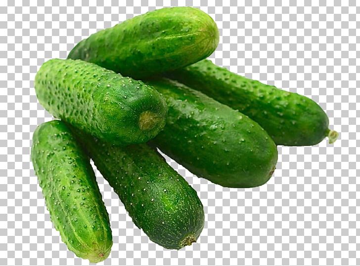 Seed Vegetable Pickled Cucumber Slicing Cucumber 2012 Outbreak Of Salmonella PNG, Clipart, Cucumber, Cucumber Cartoon, Cucumber Juice, Food, Fruit Free PNG Download