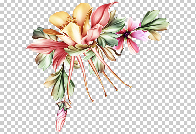 Flower Pink Plant Petal Cut Flowers PNG, Clipart, Cut Flowers, Flower, Petal, Pink, Plant Free PNG Download