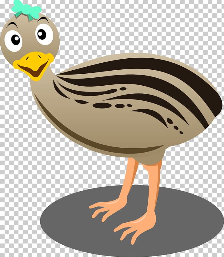 Cartoon Bird Emu Common Ostrich PNG, Clipart, Animal, Animals, Animation, Beak, Bird Free PNG Download