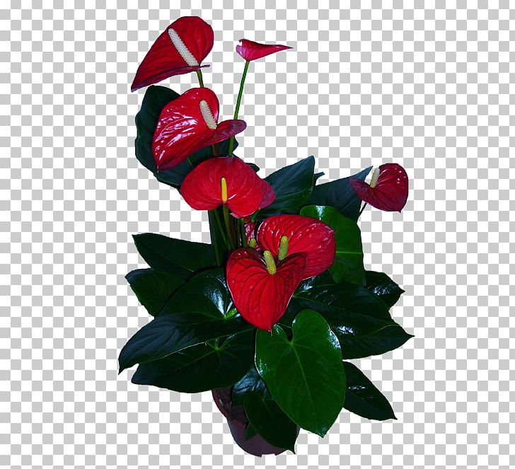Floral Design Cut Flowers Plant PNG, Clipart, Artificial Flower, Cut Flowers, Flora, Floral Design, Floristry Free PNG Download
