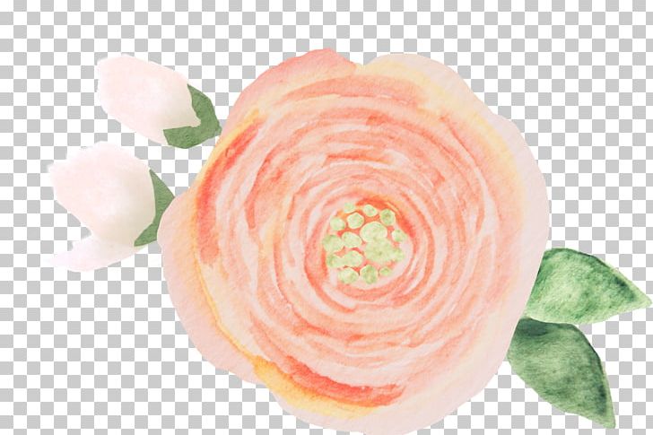 Garden Roses Founded In Honor Petal Cut Flowers PNG, Clipart, Craft, Cut Flowers, Feeling, Flower, Founded In Honor Free PNG Download