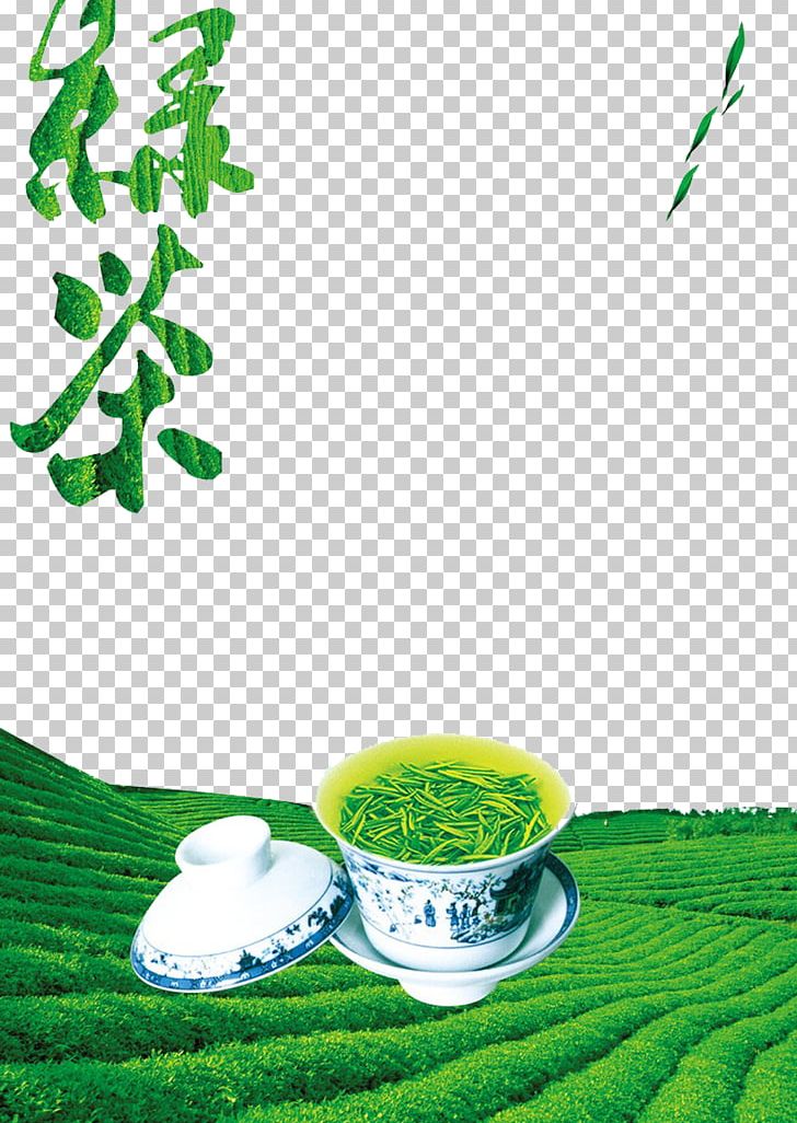 Green Tea Longjing Tea Tieguanyin Cha Pu PNG, Clipart, Background Green, Black Tea, Chinese Tea, Coffee Cup, Creative Free PNG Download