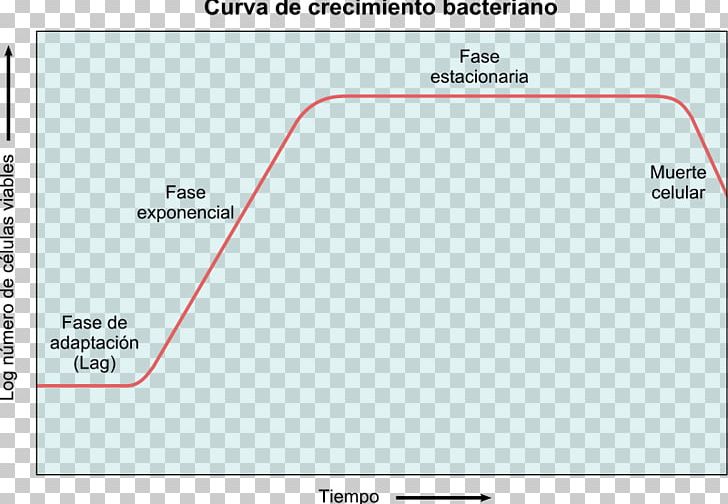 Bacterial Growth Curve Microbial Metabolism Microorganism PNG, Clipart, Angle, Archaeans, Area, Bacillus, Bacillus Thuringiensis Free PNG Download