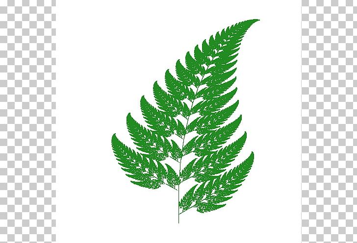 Barnsley Fern Fractal Iterated Function System Chaos Theory PNG, Clipart, Affine Transformation, Attractor, Barnsley Fern, Chaos Game, Fern Free PNG Download