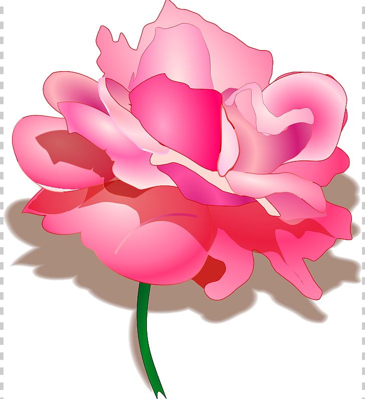 Raksha Bandhan Hindi Happiness SMS Wish PNG, Clipart, Aquatic Plant, Flower, Gar, Greeting, Greeting Note Cards Free PNG Download