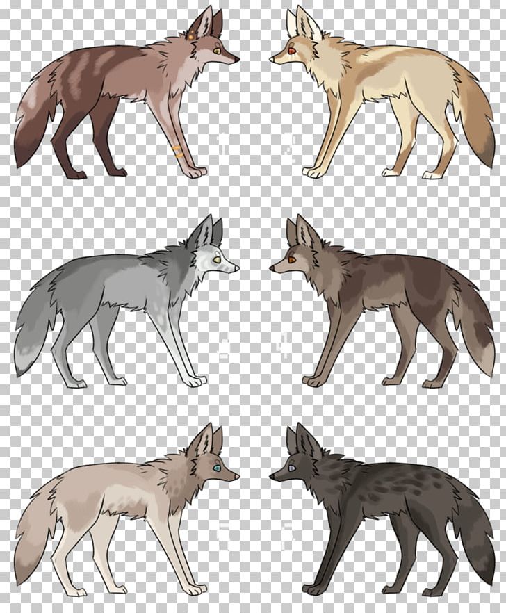 Red Fox Gray Wolf Coyote Jackal Fauna PNG, Clipart, Animal, Carnivoran, Coyote, Dog Like Mammal, Fauna Free PNG Download