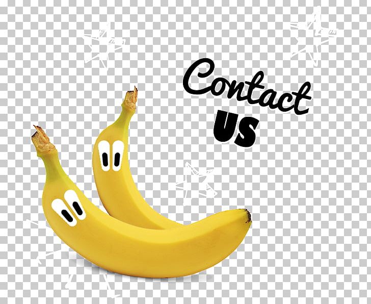 Banana Nothing Naughty Ltd Whole Foods Market PNG, Clipart, Banana, Banana Family, Cheerleading, Food, Fruit Free PNG Download