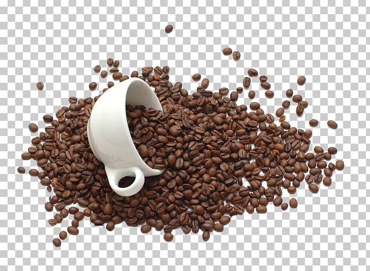 Coffee Bean Tea Sugar Food PNG, Clipart, Bean, Beans, Bote, Bottle, Caffeine Free PNG Download