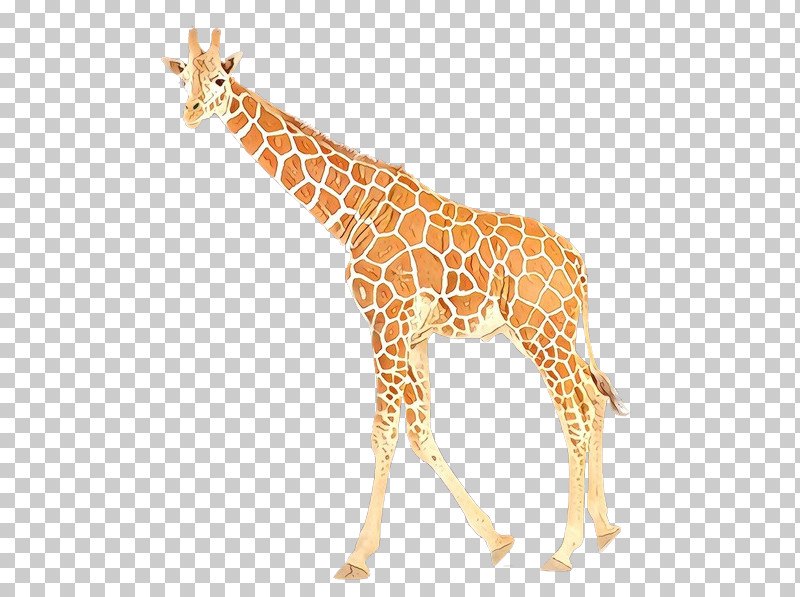 Giraffe Giraffidae Animal Figure Wildlife Fawn PNG, Clipart, Adaptation, Animal Figure, Fawn, Giraffe, Giraffidae Free PNG Download