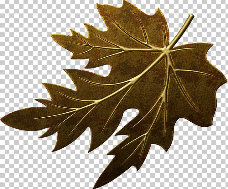 Leaf Maple Leaf Others PNG, Clipart, Autumn Leaves, Centerblog, Desktop Wallpaper, Drawing, Http Cookie Free PNG Download