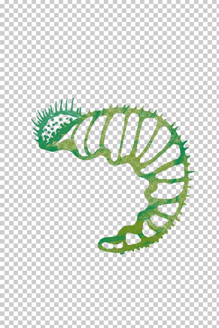 Caterpillar PNG, Clipart, Animals, Area, Caterpillar, Chenille Fabric, Circle Free PNG Download