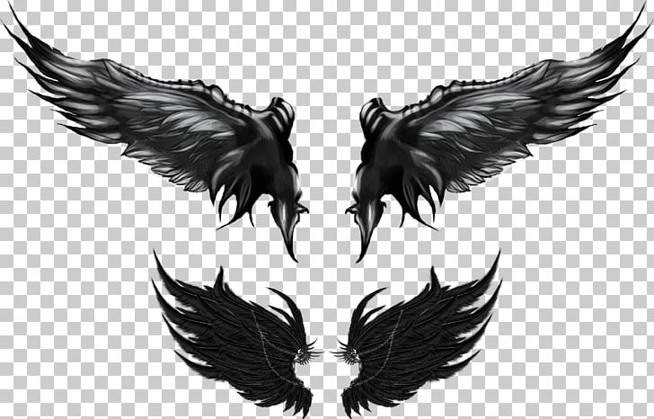 Drawing PNG, Clipart, Angel Wing, Beak, Black And White, Cdr, Coreldraw Free PNG Download