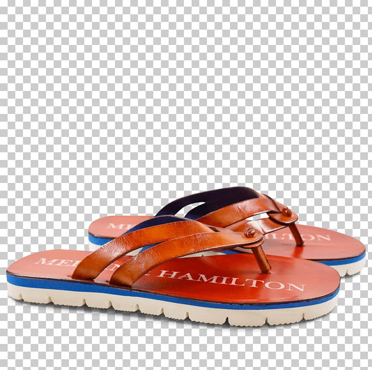 Flip-flops Shoe PNG, Clipart, Electric Blue, Flip Flops, Flipflops, Footwear, Orange Free PNG Download