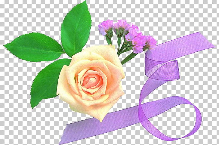 Garden Roses Cabbage Rose Cut Flowers God PNG, Clipart, Cut Flowers, Dua, Floral Design, Floristry, Flower Free PNG Download