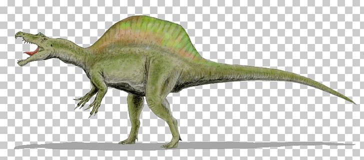 Raptor Red Tyrannosaurus Velociraptor Spinosaurus Deinonychus PNG, Clipart, Animals, Animatronics, Brachiosaurus, Carnivores, Creativ Free PNG Download