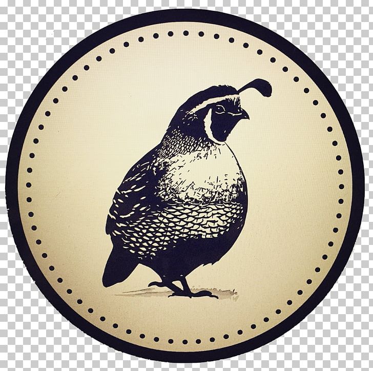 Watsonville Bird Pajaro Valley Food Beak PNG, Clipart, Animals, Beak, Bird, California, Central Coast Free PNG Download