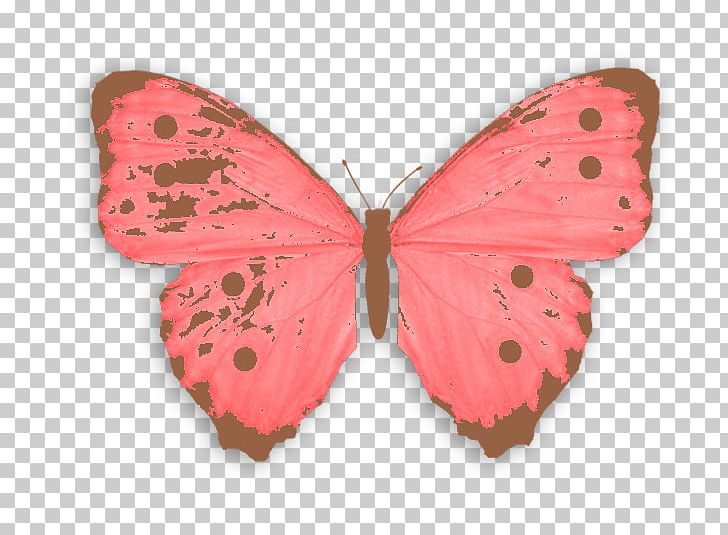 Butterfly Euclidean PNG, Clipart, Animal, Arthropod, Blue Butterfly, Brush Footed Butterfly, Butterflie Free PNG Download