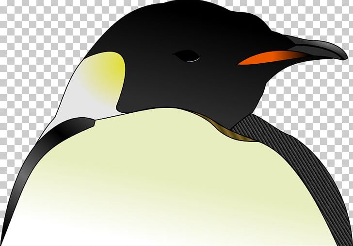 Emperor Penguin Bird PNG, Clipart, Animals, Beak, Bird, Computer Icons, Drawing Free PNG Download