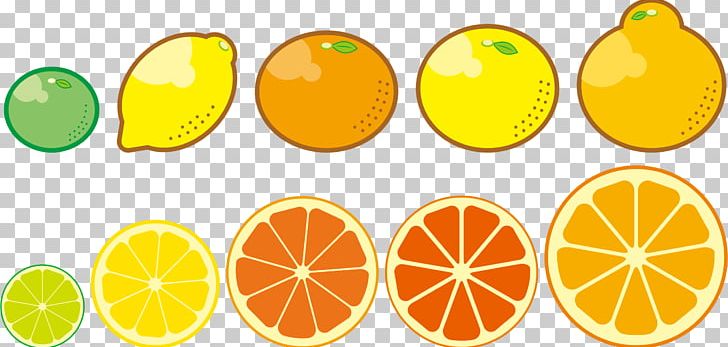 Lemon Satsuma Mandarin Fruit Food Orange PNG, Clipart, Bitter Orange, Citreae, Citric Acid, Citrus, Citrus Junos Free PNG Download