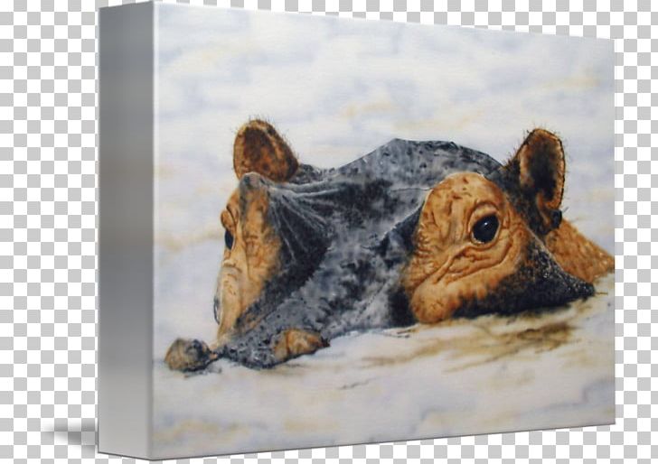Rodent Painting Fauna Snout Wildlife PNG, Clipart, Art, Fauna, Hippo Watercolor, Painting, Rodent Free PNG Download