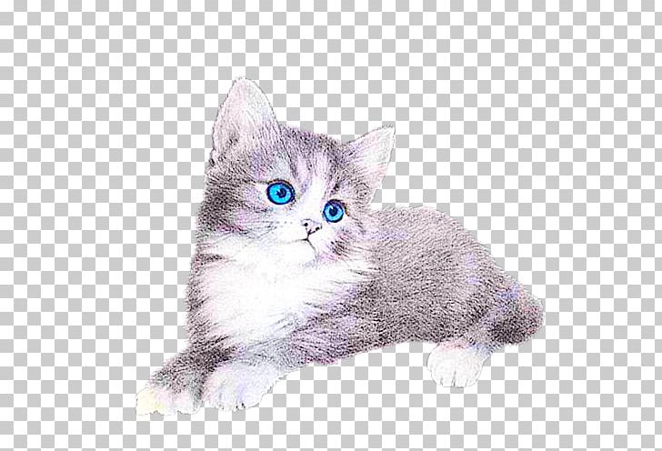 Cat Kitten PNG, Clipart, American Wirehair, Animal, Animals, Asian, Blog Free PNG Download