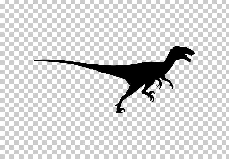 Tyrannosaurus Deinonychus Velociraptor Apatosaurus Majungasaurus PNG, Clipart, Apatosaurus, Black And White, Computer Icons, Daspletosaurus, Deinonychus Free PNG Download