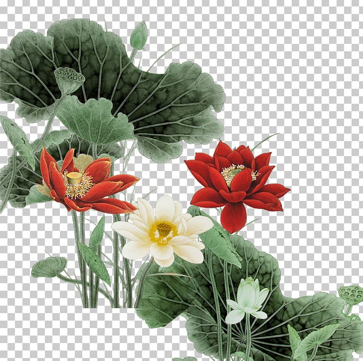 Floral Design Nelumbo Nucifera PNG, Clipart, Annual Plant, Artificial Flower, Costume Drama, Euclidean Vector, Flower Free PNG Download