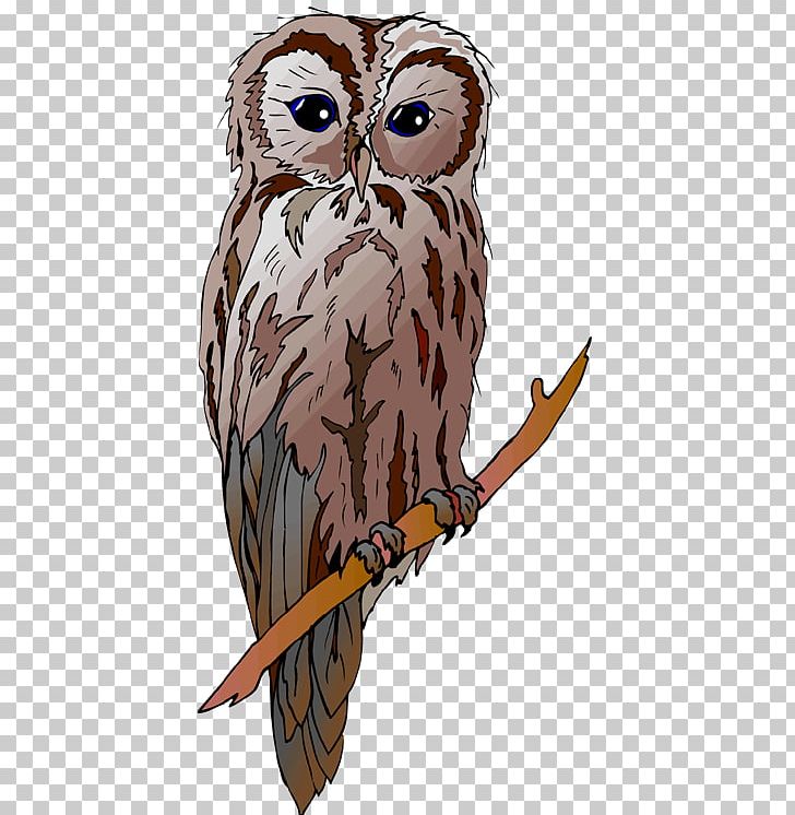 Great Horned Owl Drawing PNG, Clipart, Animal, Art, Barn Owl, Beak, Bird Free PNG Download