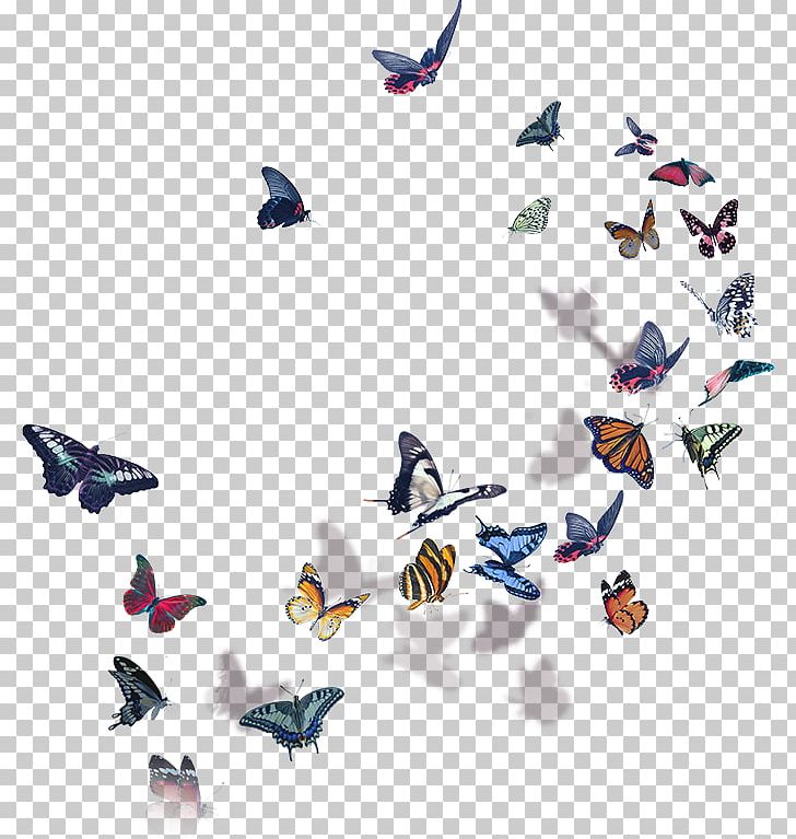 Hopeless Fountain Kingdom Citibank Hall Music Singer PNG, Clipart, Animal Figure, Backstage Pass, Bird, Butterfly, Citibank Free PNG Download