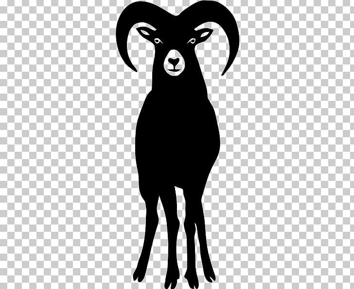 Sheep Goats Ovis Orientalis T-shirt PNG, Clipart, Animals, Aries, Bighorn Sheep, Black And White, Bovid Free PNG Download