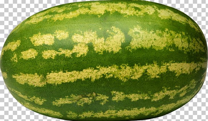Fruit Watermelon Seed PNG, Clipart, Bacterial Wilt, Butternut Squash, Cucumber Gourd And Melon Family, Cucumis, Cucurbita Free PNG Download