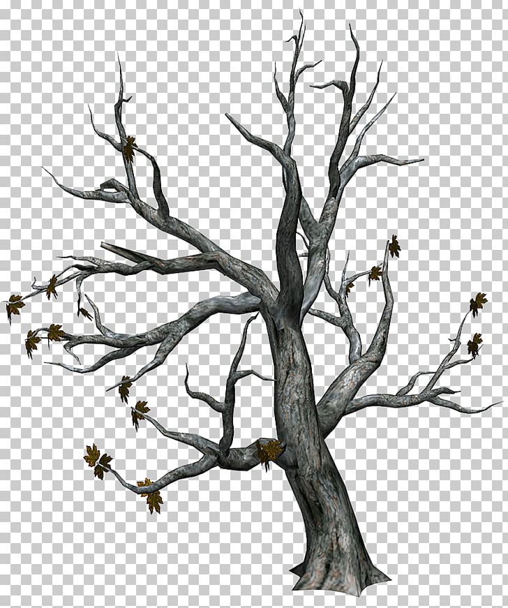 Tree Trunk PNG, Clipart, Art, Black And White, Branch, Digital Image, Download Free PNG Download