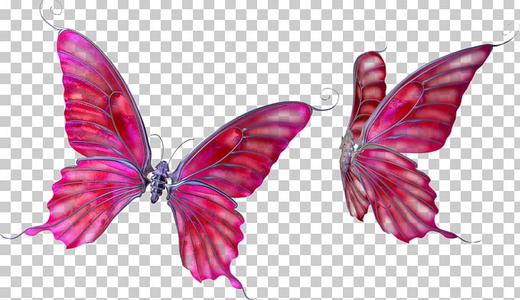 Butterfly Photography Drawing PNG, Clipart, Brush Footed Butterfly, Butterfly, Desktop Wallpaper, Drawing, Fly Free PNG Download