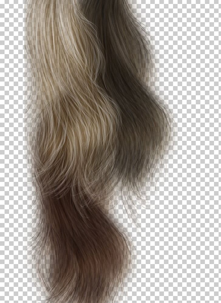 Long Hair Capelli Hairstyle PNG, Clipart, Beauty, Black Hair, Blond, Brown, Brown Hair Free PNG Download