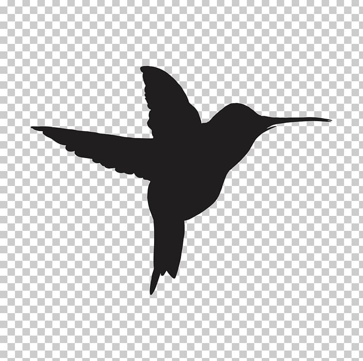 Need For Speed Hummingbird Computer Software Drawing Grand Theft Auto V PNG, Clipart, Art, Beak, Bird, Black And White, Coloring Book Free PNG Download